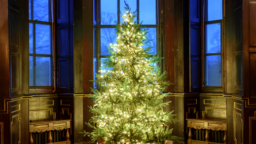 A glowing Christmas tree in the window of the Long Gallery at Ham House, looking really festive